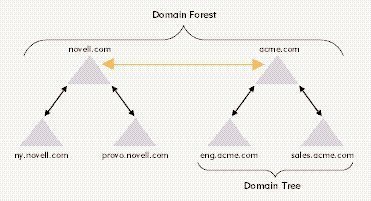 Creating and Managing Forests and Domains